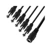 Cable BNC Female / Power Male DC Power Splitter 1-to-5 30cm